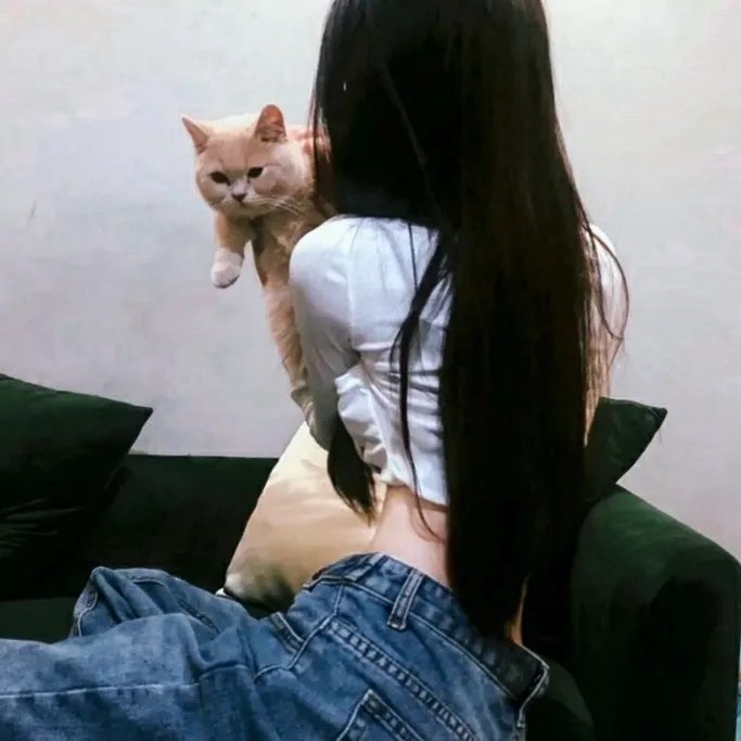 赌命运转手
